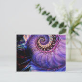 Carte Postale Nautilus (Debout devant)