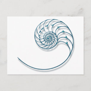 Carte Postale Nautilus 2