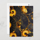 Carte Postale Nautilus d'or (Devant / Derrière)