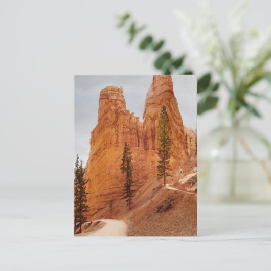 Carte Postale Navajo Loop Trail, Bryce Canyon (Debout devant)