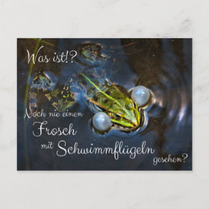 Carte Postale N'avez-vous jamais vu une grenouille avec des nage