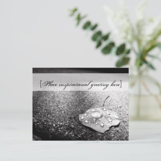 Carte postale - Navire (Debout devant)