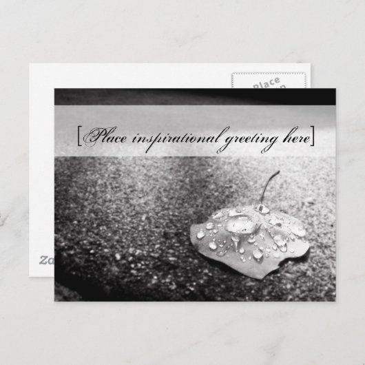 Carte postale - Navire (Devant / Derrière)