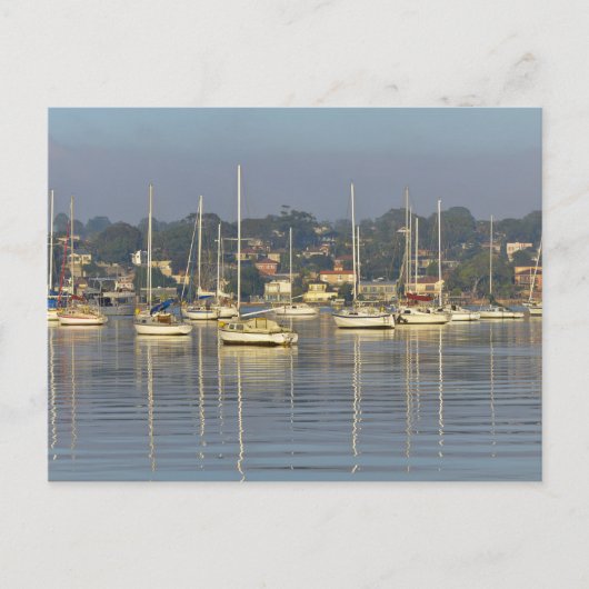 Carte Postale Navires À Voile (Devant)