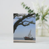 Carte Postale Navires Ahoy Post Card (Debout devant)