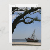 Carte Postale Navires Ahoy Post Card (Devant / Derrière)