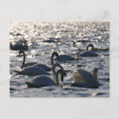 Carte Postale Navires en groupe sur l'eau avec glissement (Devant)