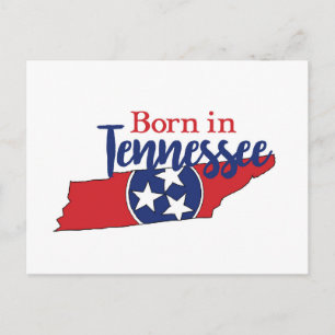 Carte Postale Né dans Tennessee State Symbols Volunteer State