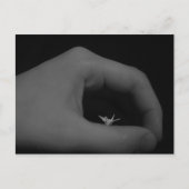 Carte Postale Né de la main (Devant)