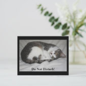 Carte Postale Ne Dérangez Pas ! (Debout devant)