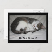 Carte Postale Ne Dérangez Pas ! (Devant / Derrière)