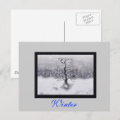 Carte Postale Né en hiver (Devant / Derrière)