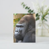 Carte Postale Ne le pensez même pas... (Debout devant)