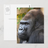 Carte Postale Ne le pensez même pas... (Devant / Derrière)