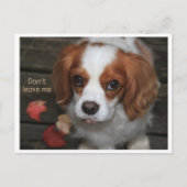 Carte Postale Ne m'abandonne pas Verlass mich nicht (Devant)