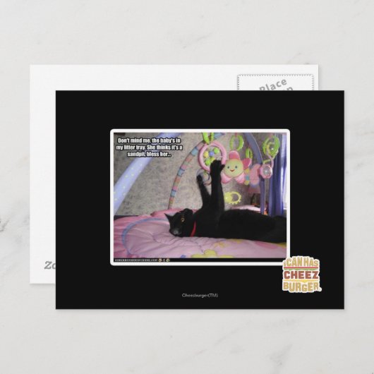 Carte Postale Ne me dérange pas (Devant / Derrière)