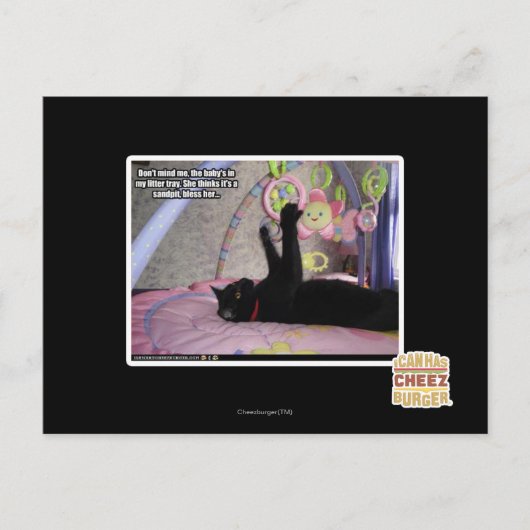 Carte Postale Ne me dérange pas (Devant)