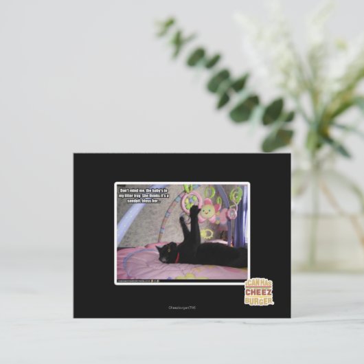 Carte Postale Ne me dérange pas (Debout devant)