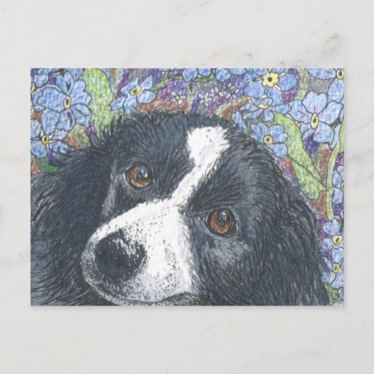 Carte Postale 'Ne m'oublie pas', dit le collier frontalier. (Devant)