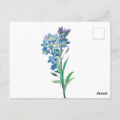 Carte postale Ne m'oubliez pas (Dos)