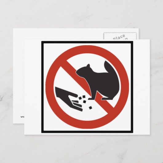 Carte Postale Ne pas nourrir les écureuils (Devant / Derrière)