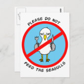 Carte Postale Ne pas nourrir les mouettes (Devant / Derrière)