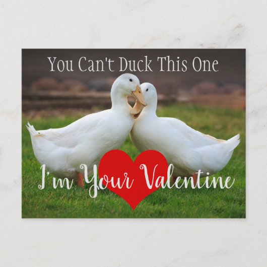Carte Postale Ne peut pas canard Valentine (Devant)