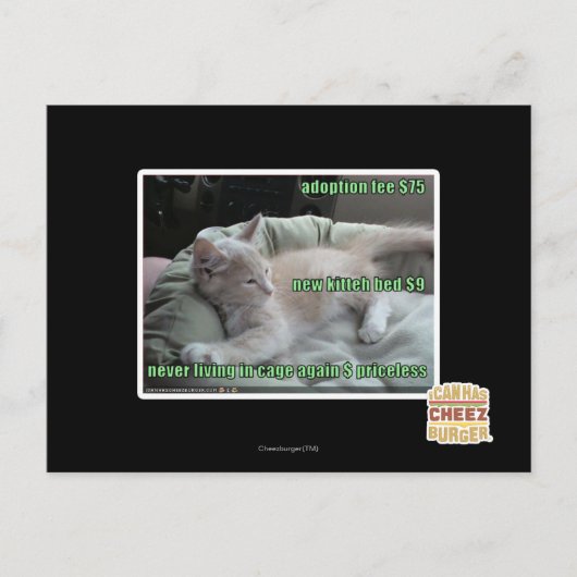 Carte Postale Ne plus jamais vivre dans une cage (Devant)