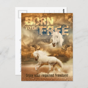 Carte Postale Né pour être libre, Beauté de la faune : Cheval Bl