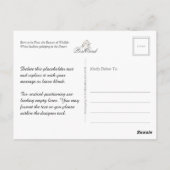 Carte Postale Né pour être libre, Beauté de la faune : Cheval Bl (Dos)