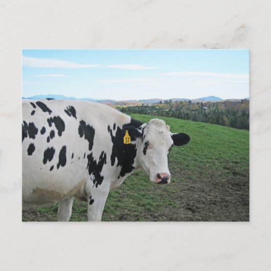 Carte Postale Ne regarde pas en arrière (Devant)