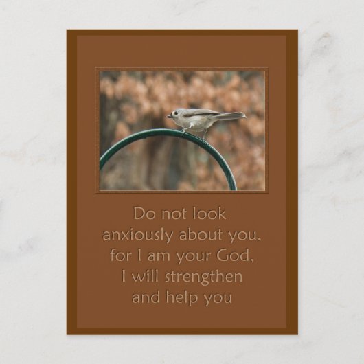 Carte Postale ne regardez pas anxieusement à propos de vous oise (Devant)