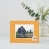 Carte Postale Ne sois pas triste (Debout devant)