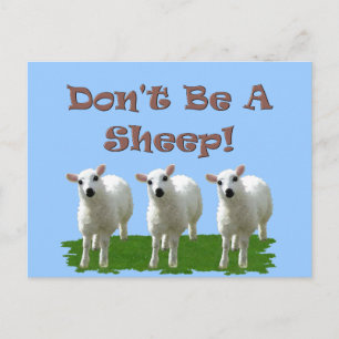 Carte Postale Ne sois pas un mouton (conformité)