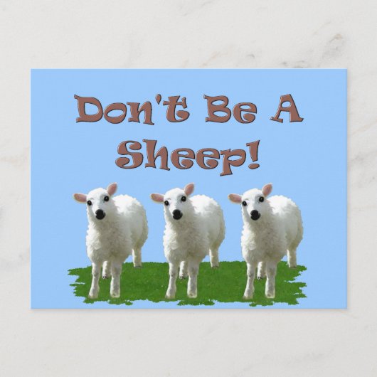 Carte Postale Ne sois pas un mouton (conformité) (Devant)
