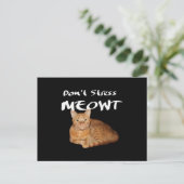 Carte Postale Ne stress pas Meowt - Orange Chat me stress Out (Debout devant)
