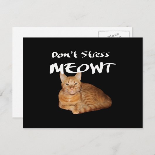 Carte Postale Ne stress pas Meowt - Orange Chat me stress Out (Devant / Derrière)