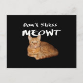 Carte Postale Ne stress pas Meowt - Orange Chat me stress Out (Devant)