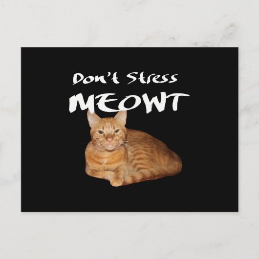 Carte Postale Ne stress pas Meowt - Orange Chat me stress Out (Devant)