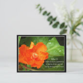 Carte Postale Ne T'Inquiète Pas Pour Demain (Debout devant)