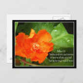 Carte Postale Ne T'Inquiète Pas Pour Demain (Devant / Derrière)