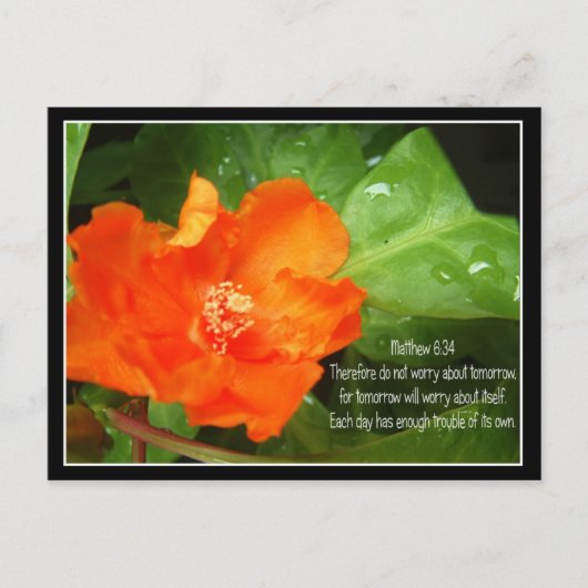 Carte Postale Ne T'Inquiète Pas Pour Demain (Devant)