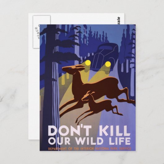 Carte Postale Ne tuez pas notre faune (Devant / Derrière)