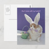 Carte Postale Ne vous mêlez pas de mon panier ! (Devant / Derrière)