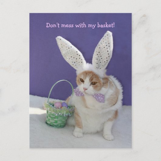 Carte Postale Ne vous mêlez pas de mon panier ! (Devant)