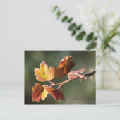 Carte postale Nebraska (Debout devant)