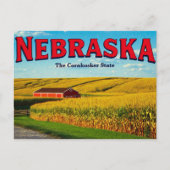 Carte Postale Nebraska Cornfield (Devant)