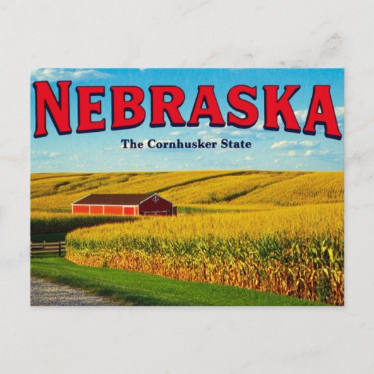 Carte Postale Nebraska Cornfield (Devant)