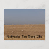 Carte Postale nebraskan (Devant)