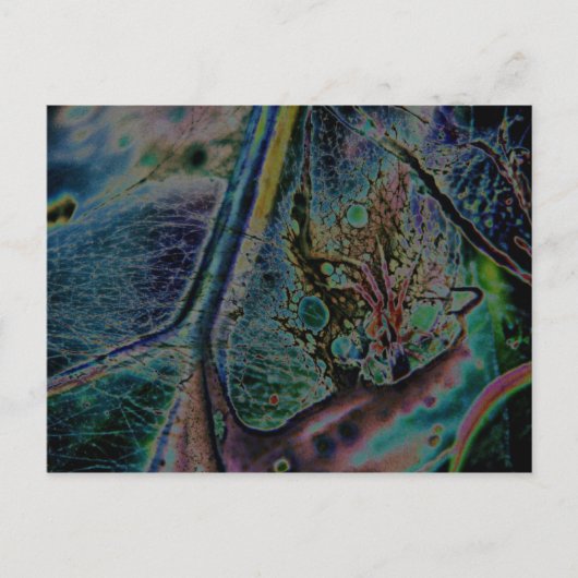 Carte Postale Nebula Spider Wolf (Devant)